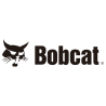 Bobcat